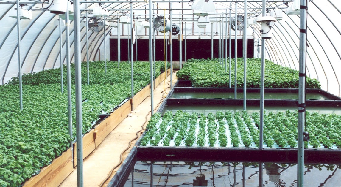 Hydroponics Equipment You Need To Invest In