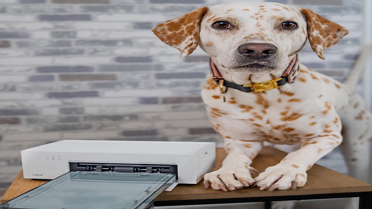 Capturing the Highlights of Life with Liene’s Instant Photo Printers