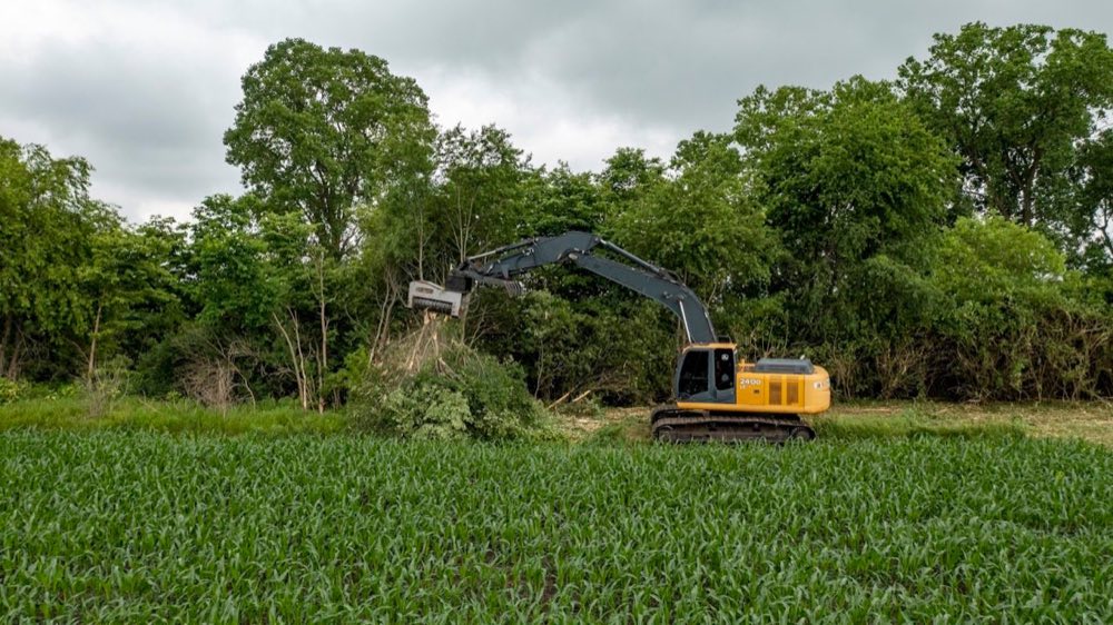 Before You Take the Job: How to Budget Forestry Mulcher Teeth for a Land Clearing Project